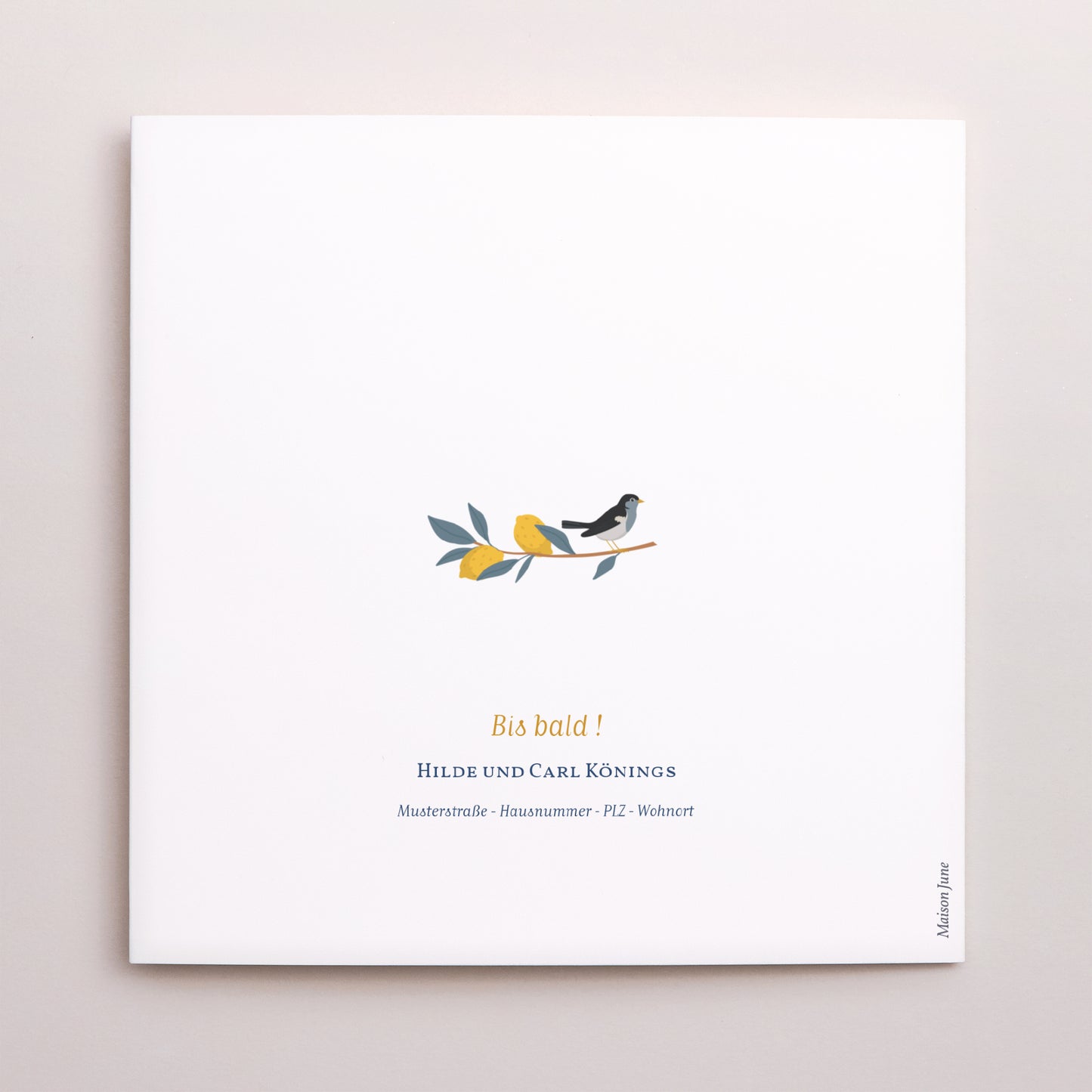 Geburtskarte Doppelflügiges Quadrat Sommerkleidung foto N° 3