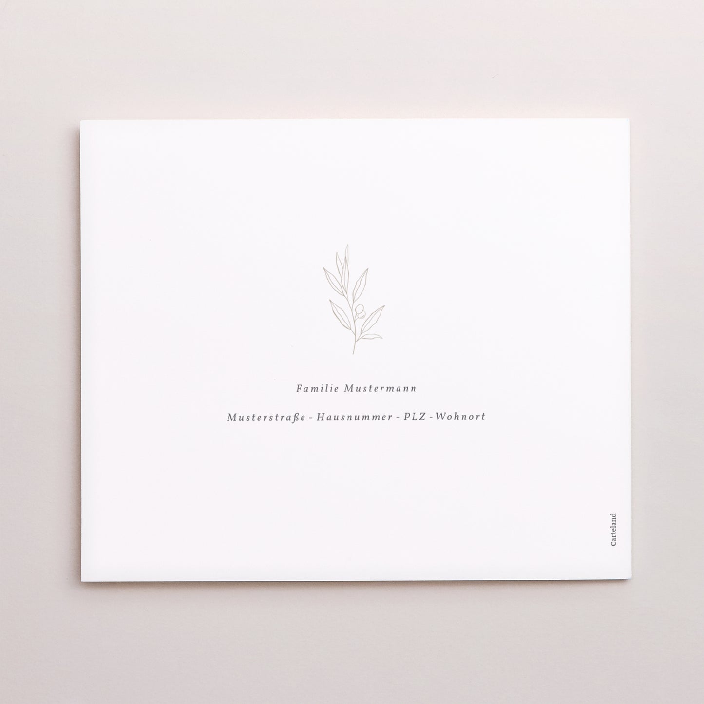 Geburtskarte Asymmetrische Zweiflügeltür Neophyt foto N° 3