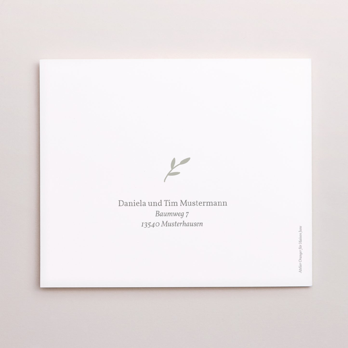 Dankeskarte Geburt Asymmetrische Zweiflügeltür Brin de bonheur, Vert tendre foto N° 3