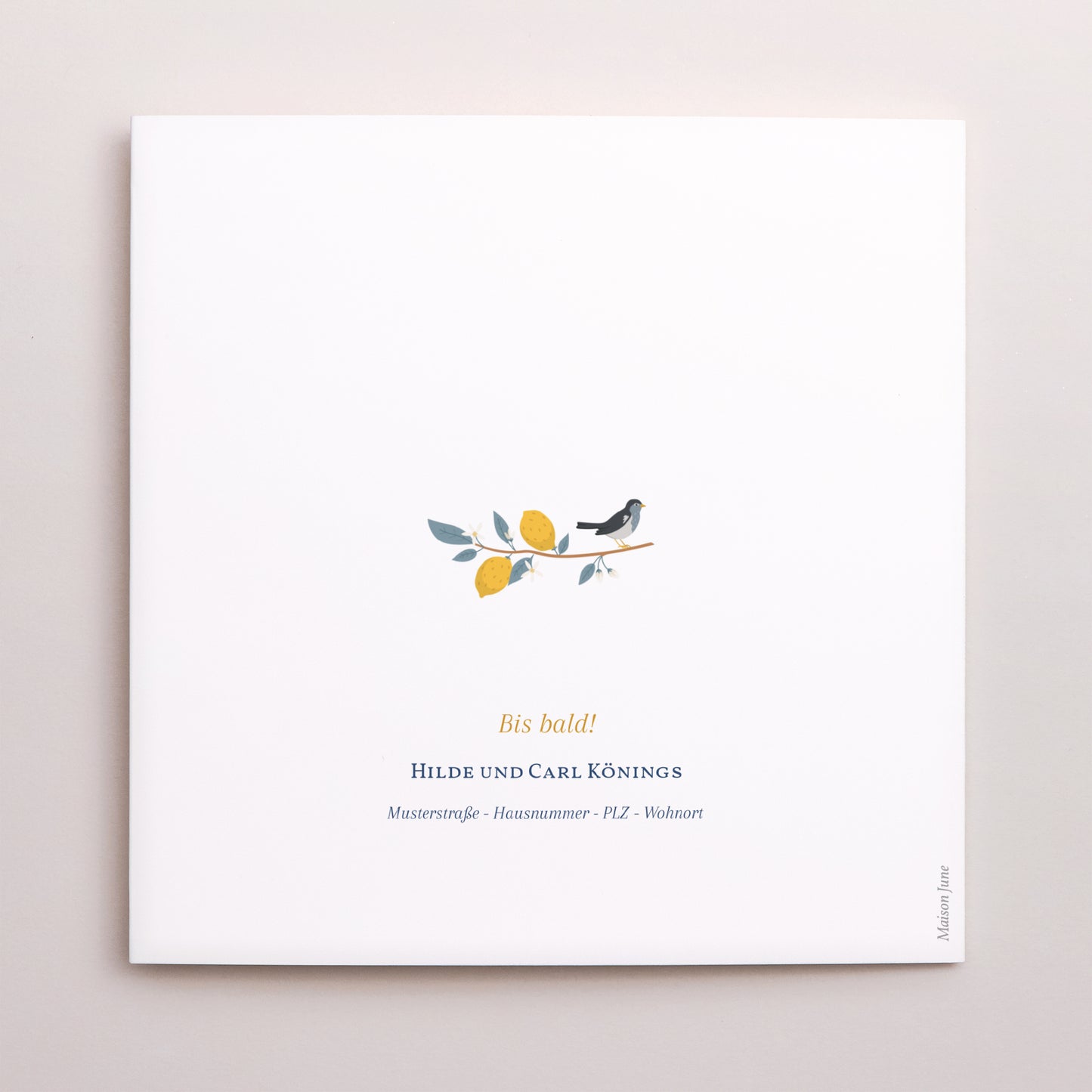 Geburtskarte Doppelflügiges Quadrat Sommergarderobe Zitrone foto N° 3