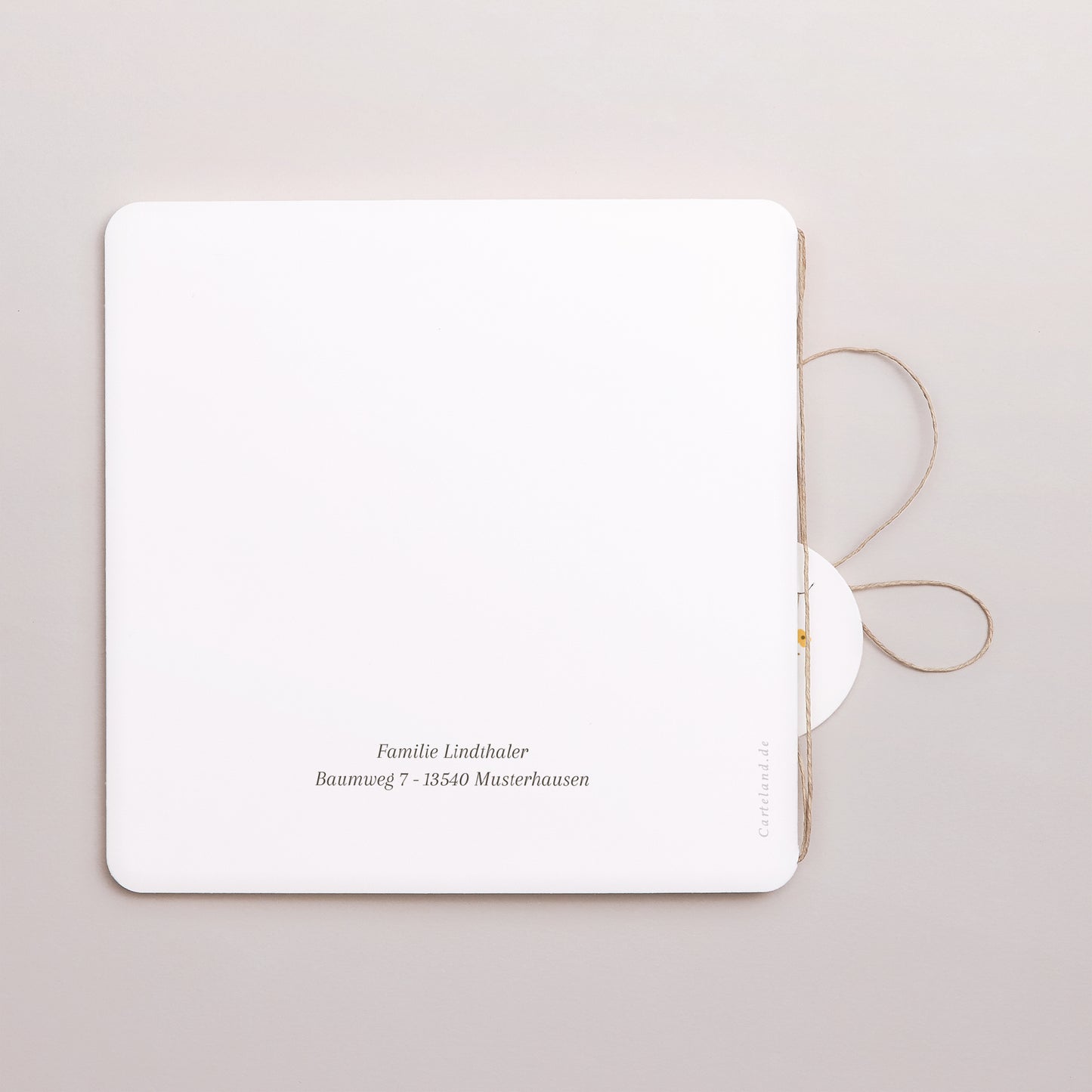 Geburtskarte Doppel-Quadrateinschlag, abgerundete Ecken, runde Etikette Eichhörnchen, Blumenmuster foto N° 3