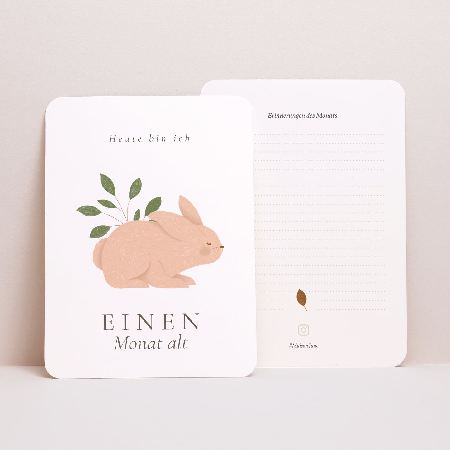 Meilenstein Karten Geburt 12er-Pack Es war einmal die Tiere des Waldes foto N° 4