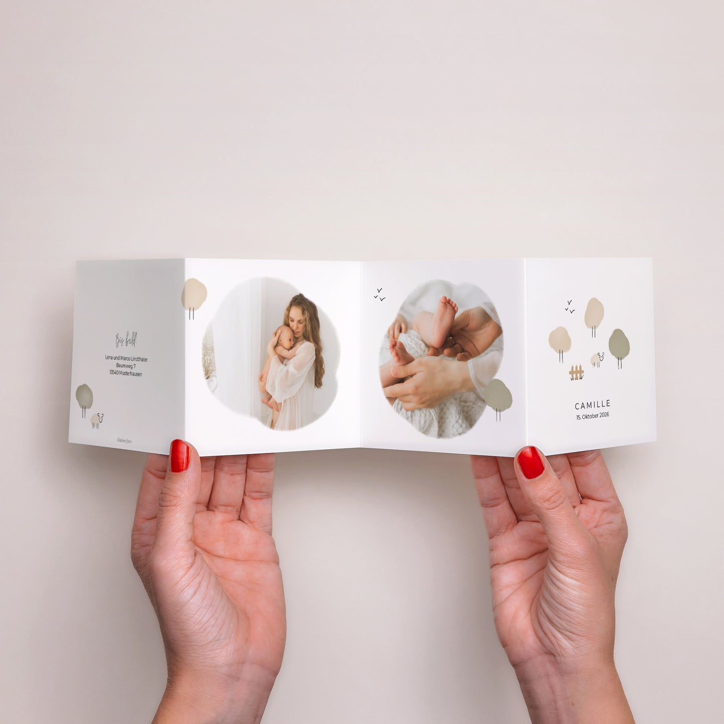 Geburtskarte Akkordeon Schaf mit Bleistift foto N° 3