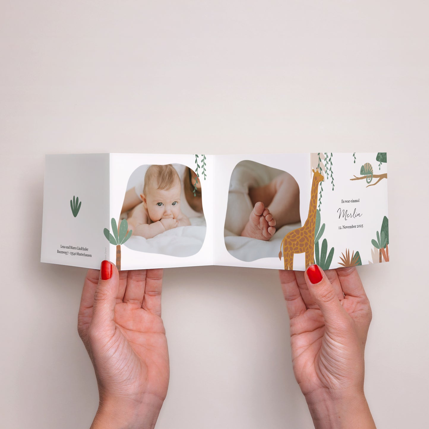 Geburtskarte Akkordeon Die Tiere Afrikas II foto N° 3