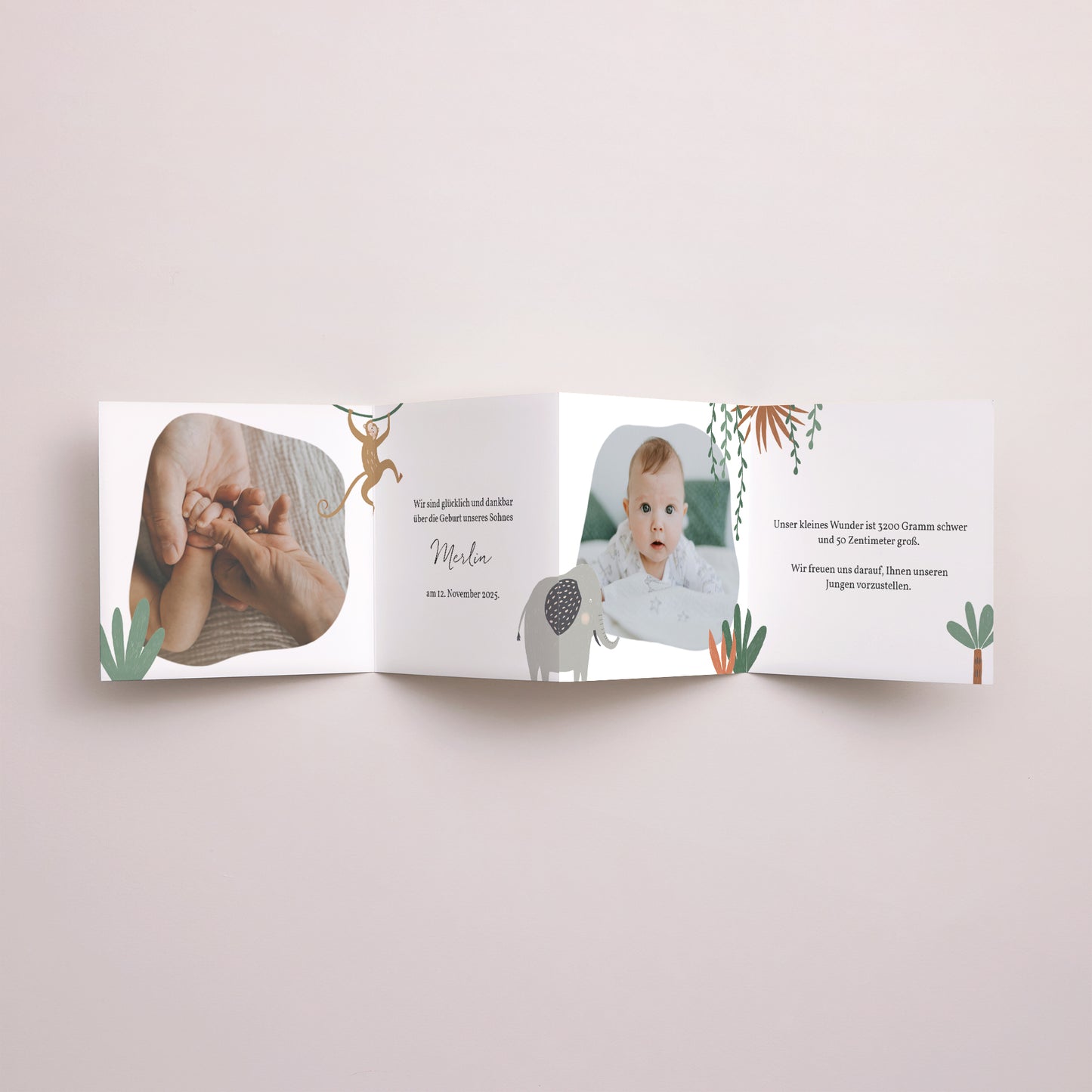 Geburtskarten Akkordeon Die Tiere Afrikas II foto N° 3