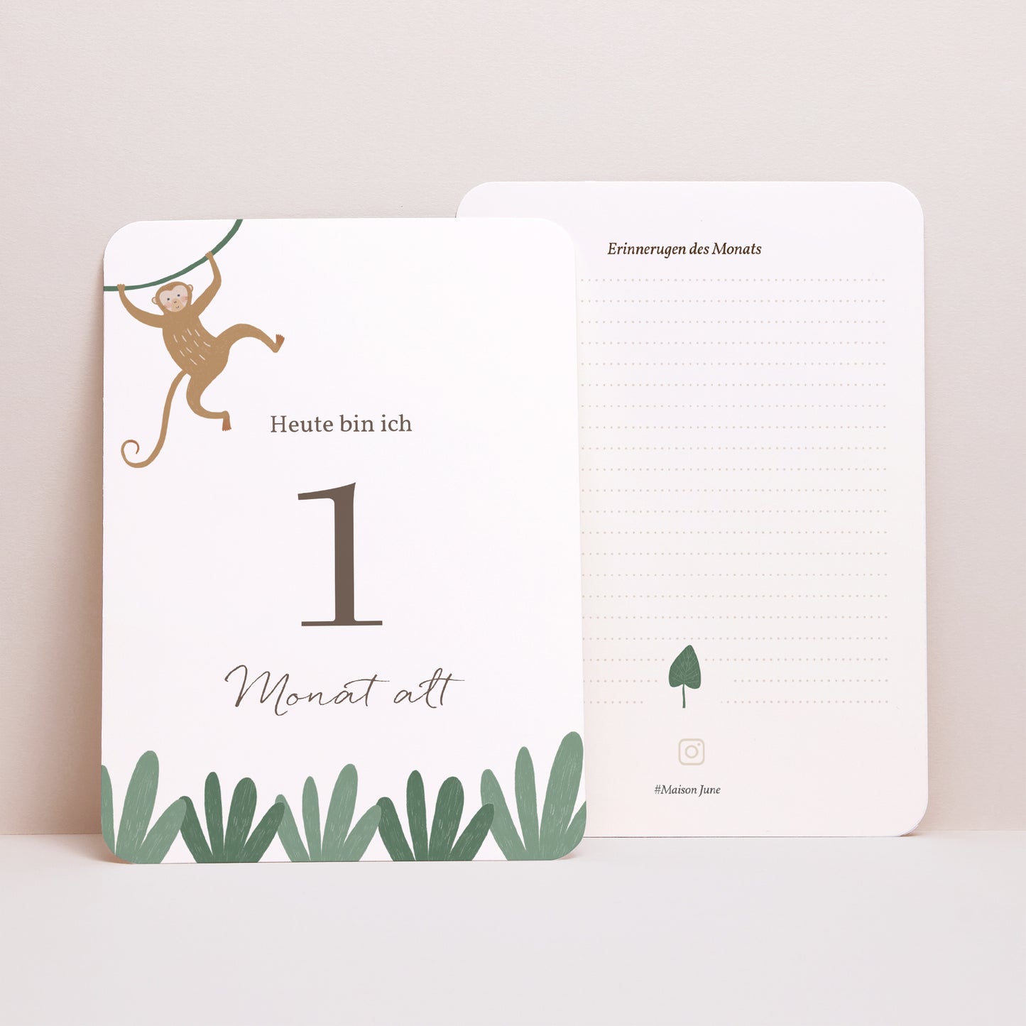 Meilenstein Karten Geburt 12er-Pack Die Tiere Afrikas II foto N° 4