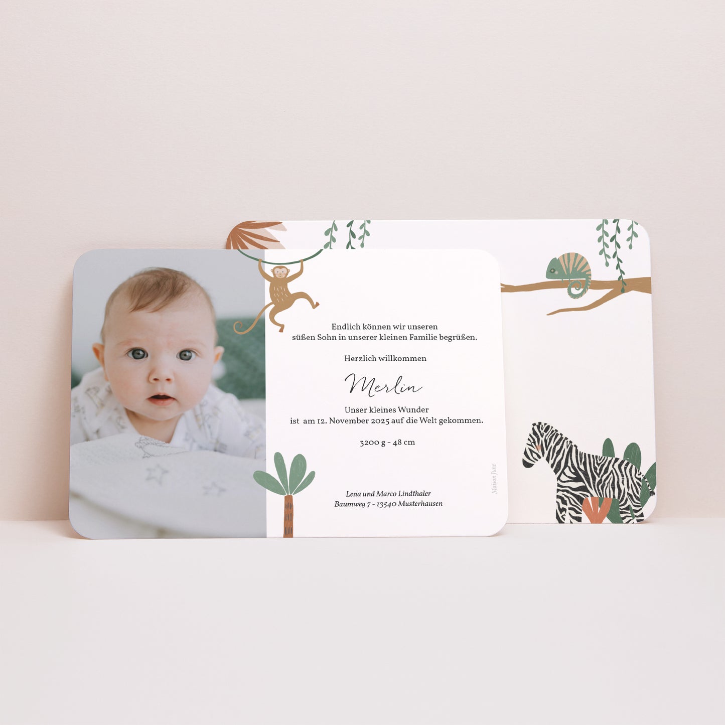 Geburtskarten Landschaft, abgerundete Ränder Die Tiere Afrikas II foto N° 3