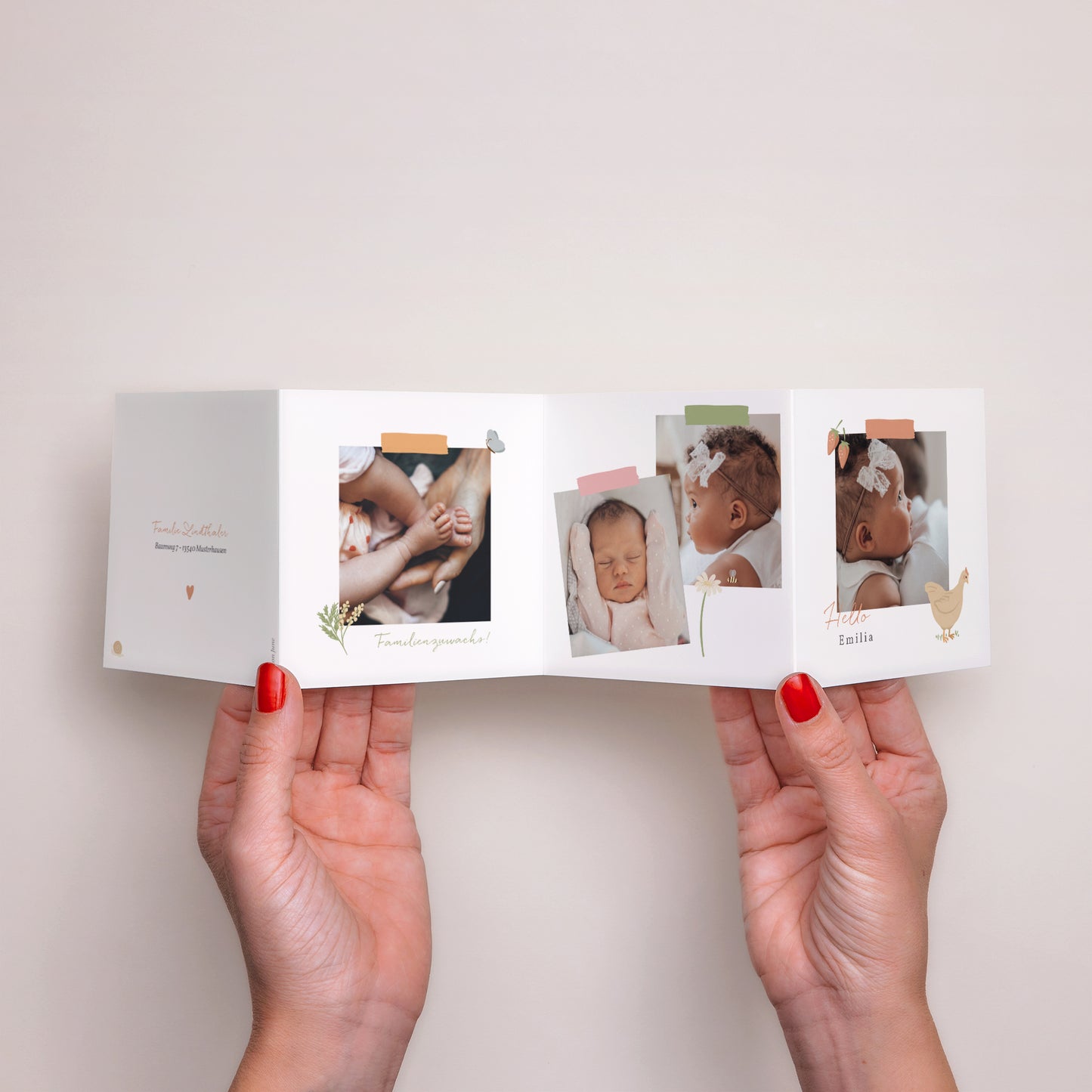 Geburtskarte Akkordeon foto N° 3