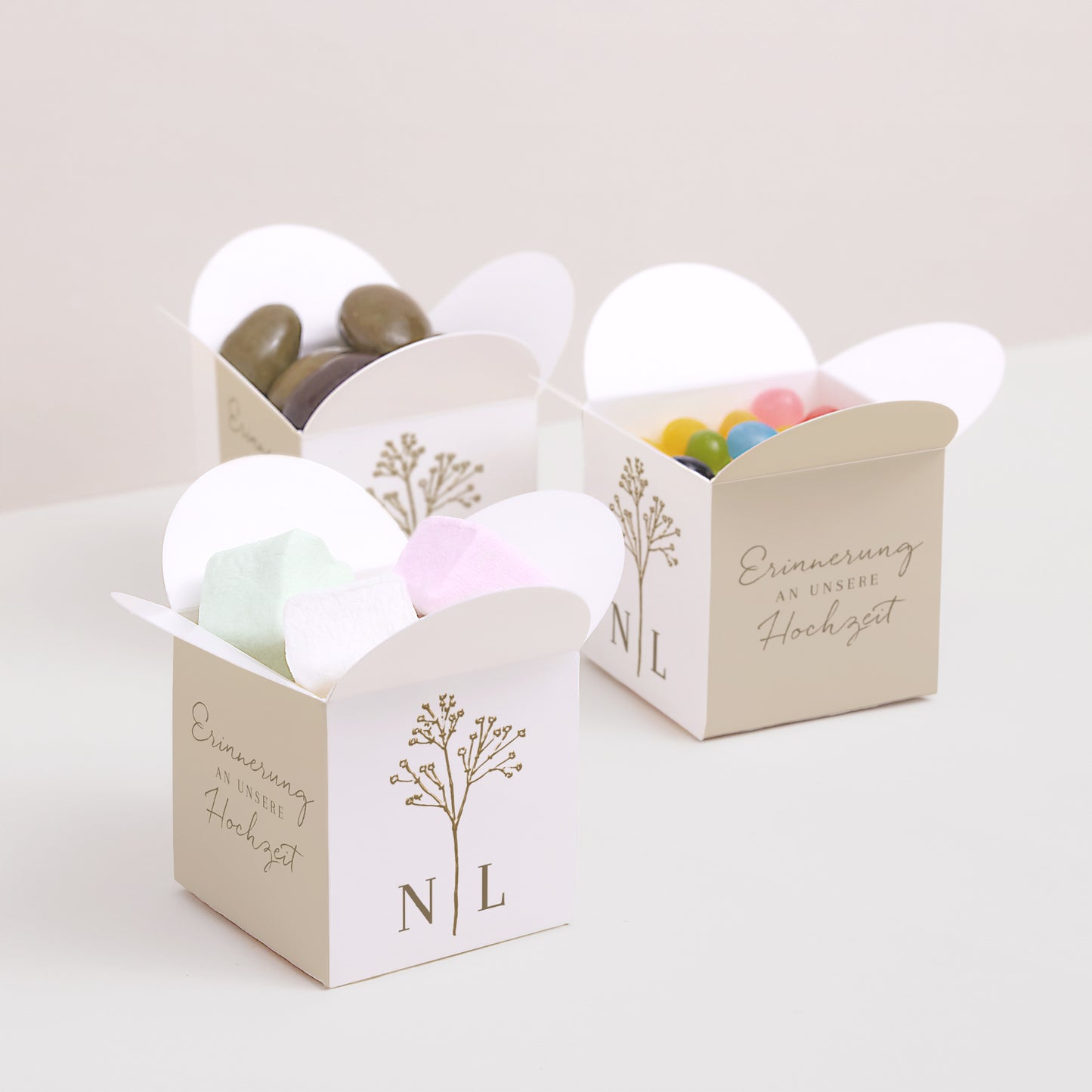 Geschenkbox Hochzeit Schmetterlingsöffnung Elegante Gipskraut foto N° 3