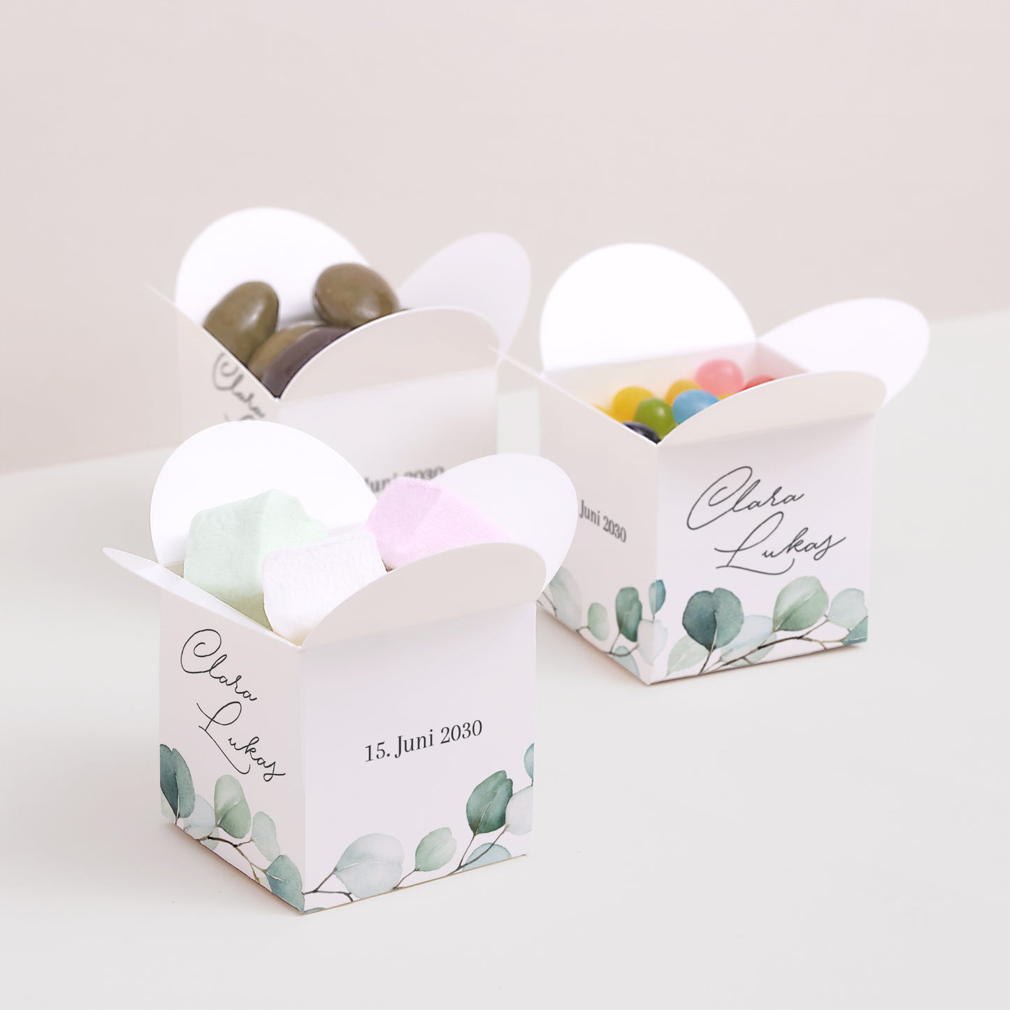 Geschenkbox Hochzeit Schmetterlingsöffnung Eukalyptusblätter foto N° 3