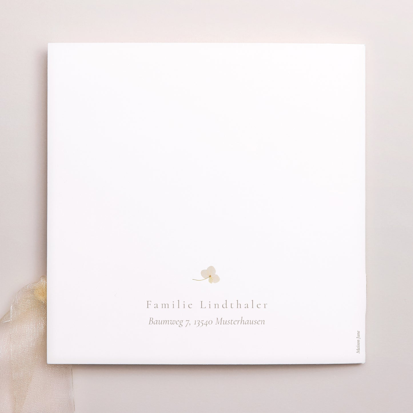 Geburtskarten Quadratische Hülle, 3 Karten, Etikett Erste Schlupf foto N° 4