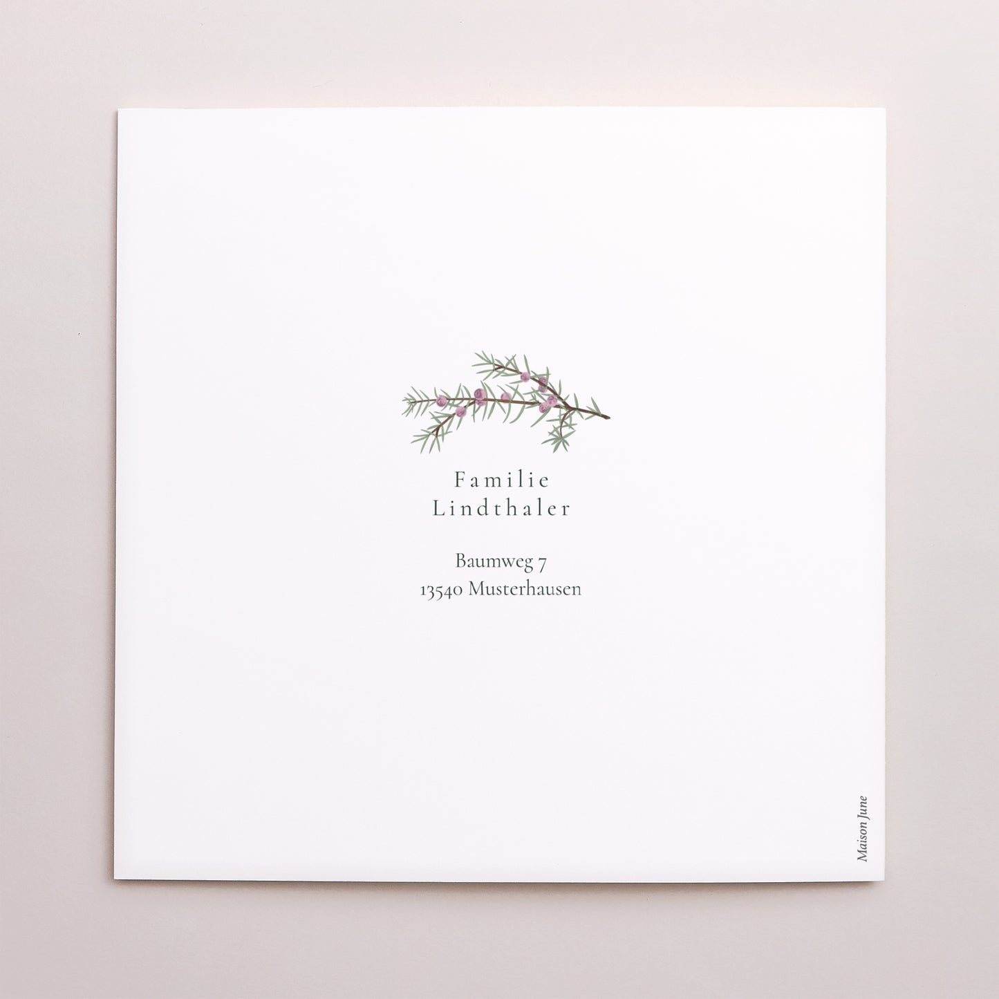 Weihnachtskarte Weihnachten Doppelflügelfenster Winterlaub foto N° 3