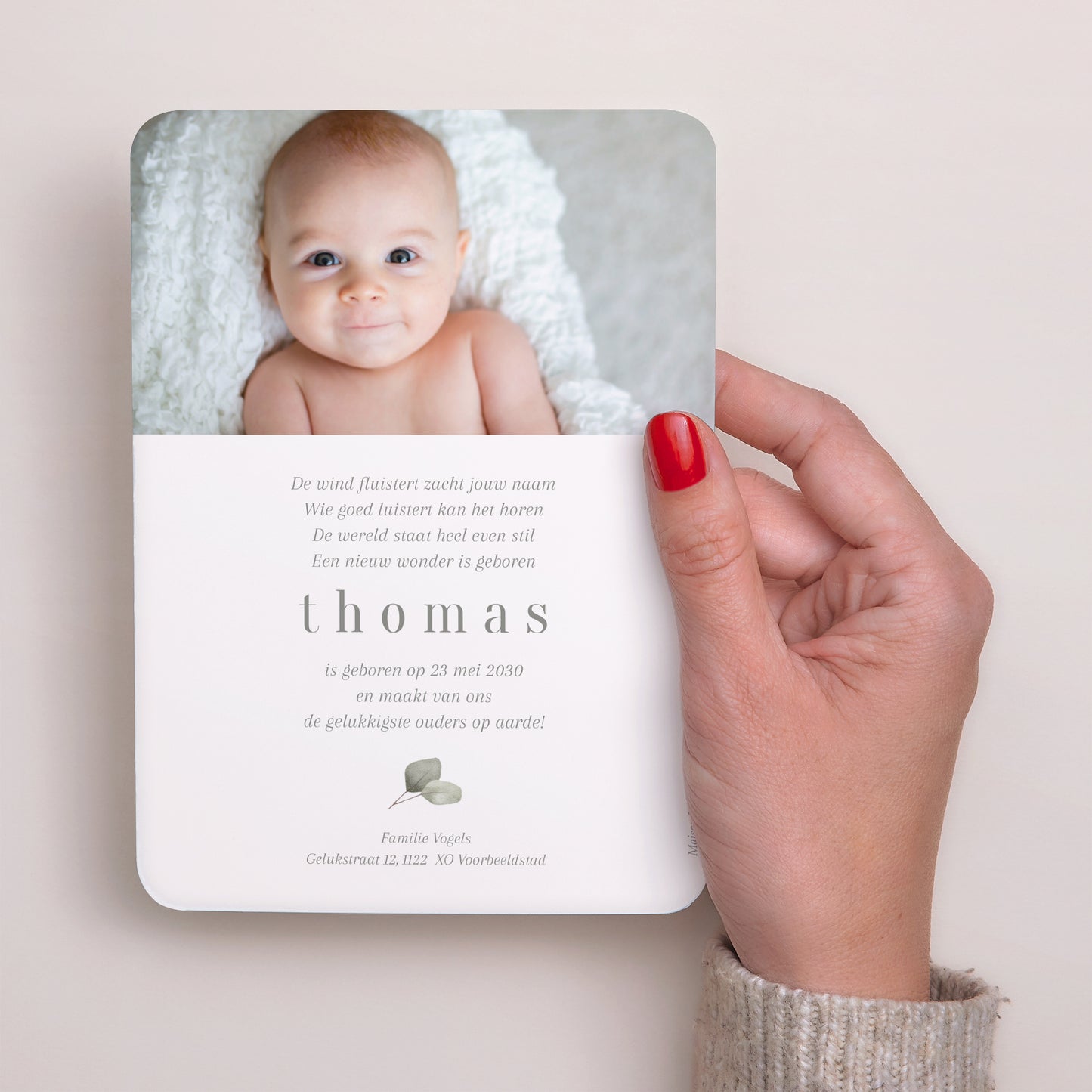 Geburtskarte Porträt, abgerundete Kanten Eukalyptusblätter foto N° 6