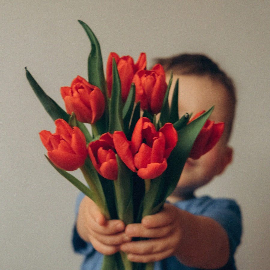 Petit garçon tend un bouquet de tulipes rouges