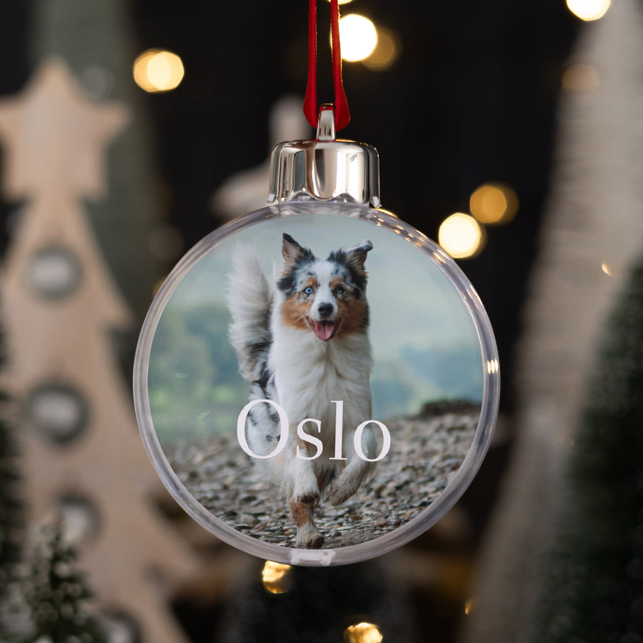 Weihnachtskugel Weihnachten Runde Hund foto
