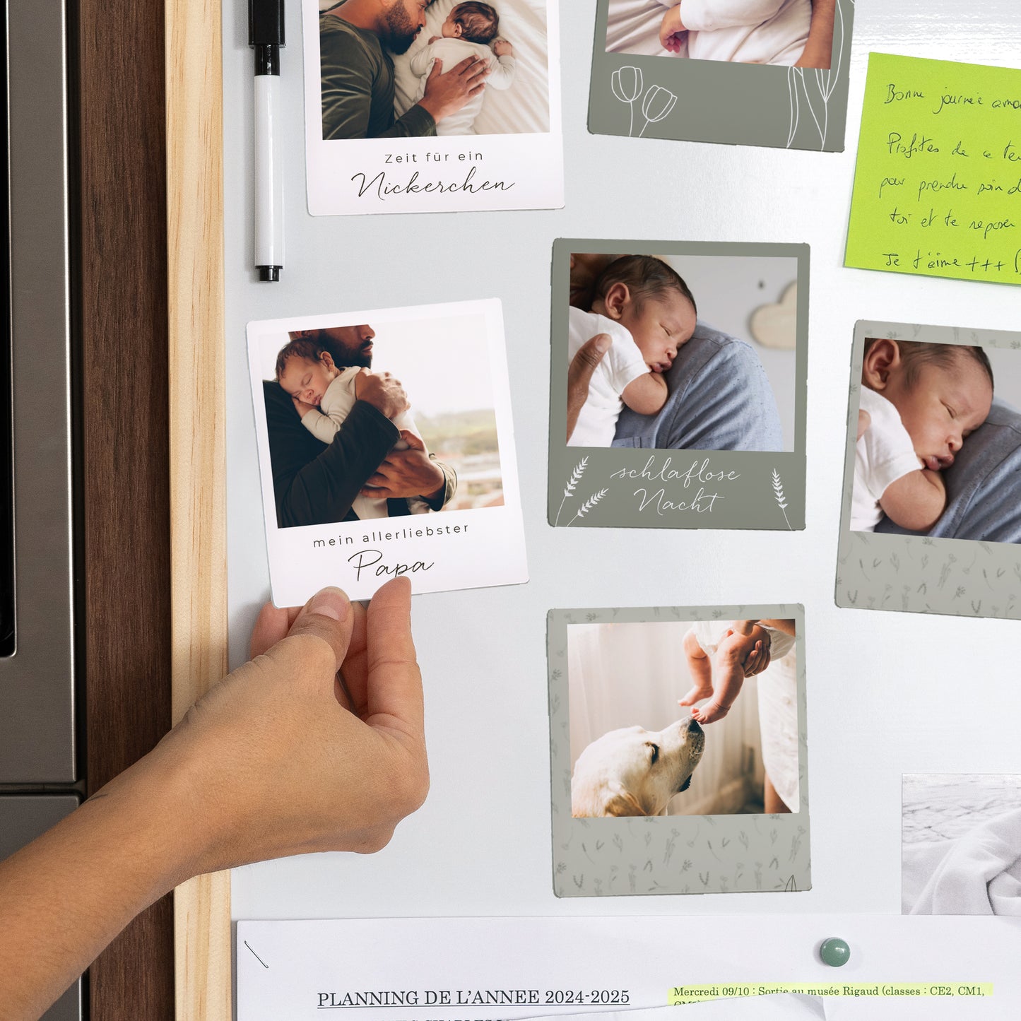 Magnet Objekte Pack mit 12, magnetisch Kleines Herbarium für Papa foto N° 2