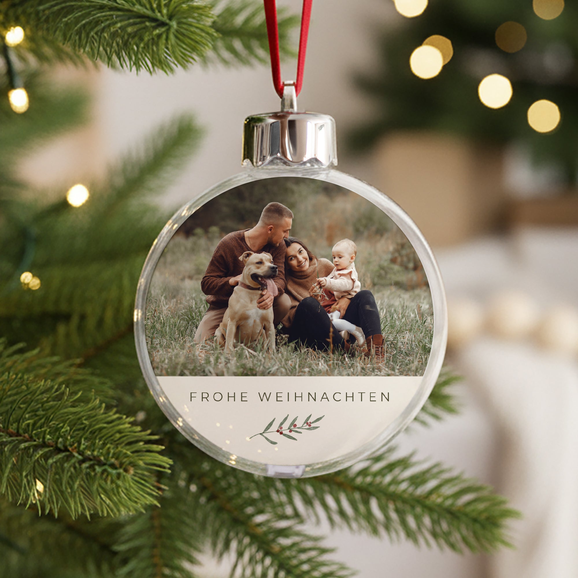 Weihnachtskugel Weihnachten Runde Pflanzenrahmen foto N° 1