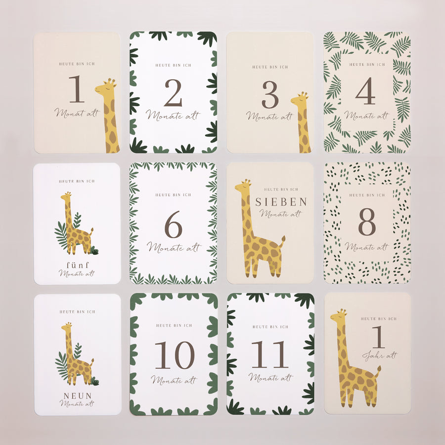Meilenstein Karten Geburt 12er-Pack Giraffe Savanne foto