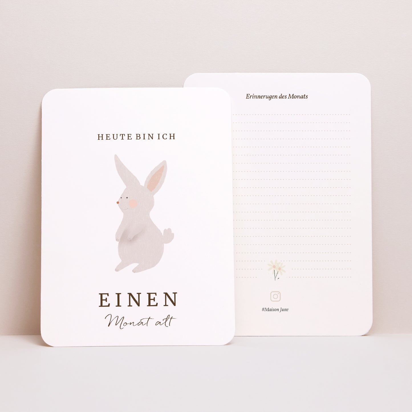 Meilenstein Karten Geburt 12er-Pack Fruchtiger Hase foto N° 4