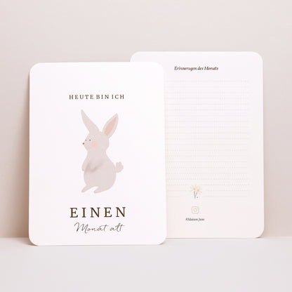 Meilenstein Karten Geburt 12er-Pack Fruchtiger Hase foto N° 4