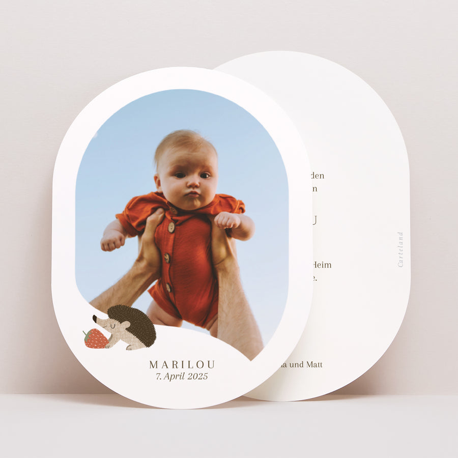 Geburtskarte oval Igel, Beerenmuster foto