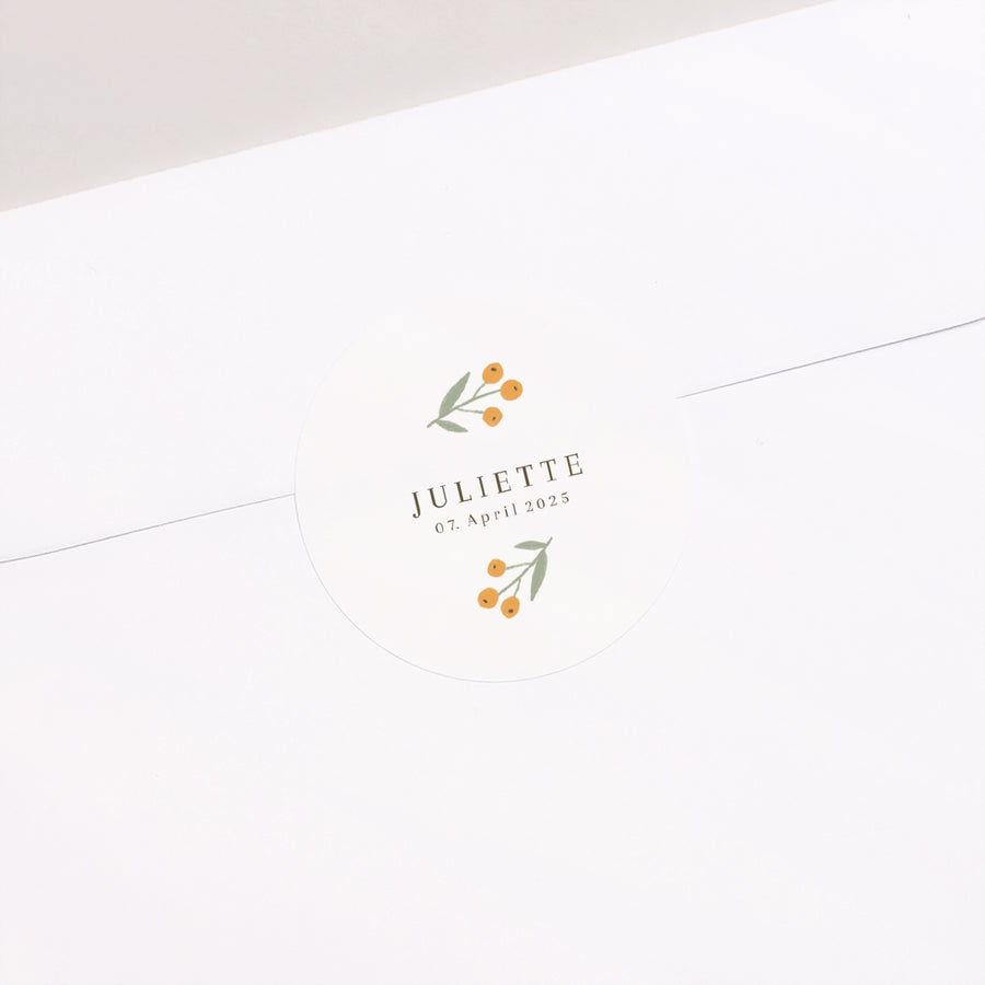 Sticker Geburt Rund Poussin & Motive foto