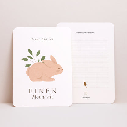 Meilenstein Karten Geburt 12er-Pack Es war einmal die Tiere des Waldes foto N° 4