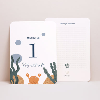 Meilenstein Karten Geburt 12er-Pack Es waren einmal die Meerestiere foto N° 4