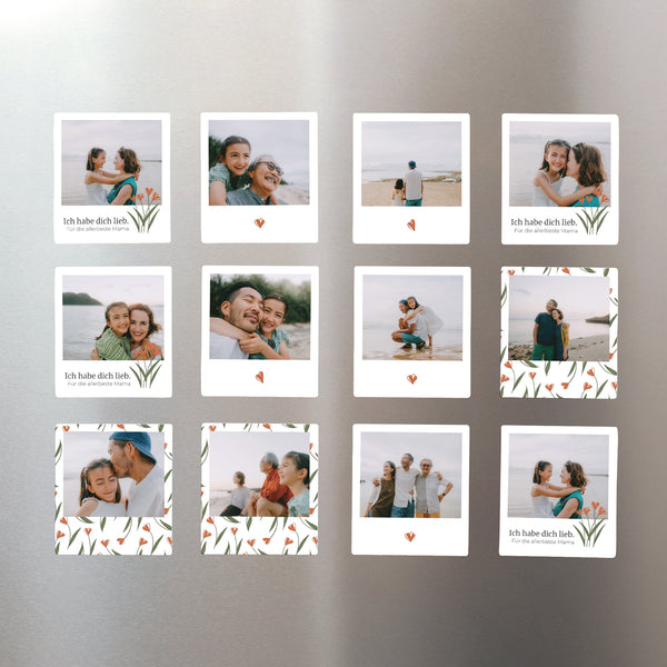 Magnet Objekte Pack mit 12, magnetisch foto
