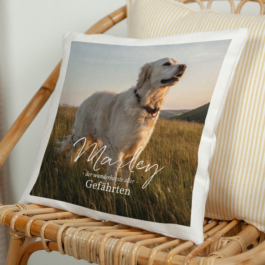 Kissen Objekte Natürliche Beige Pet love foto