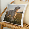 Kissen Objekte Natürliche Beige Pet love foto N° 1