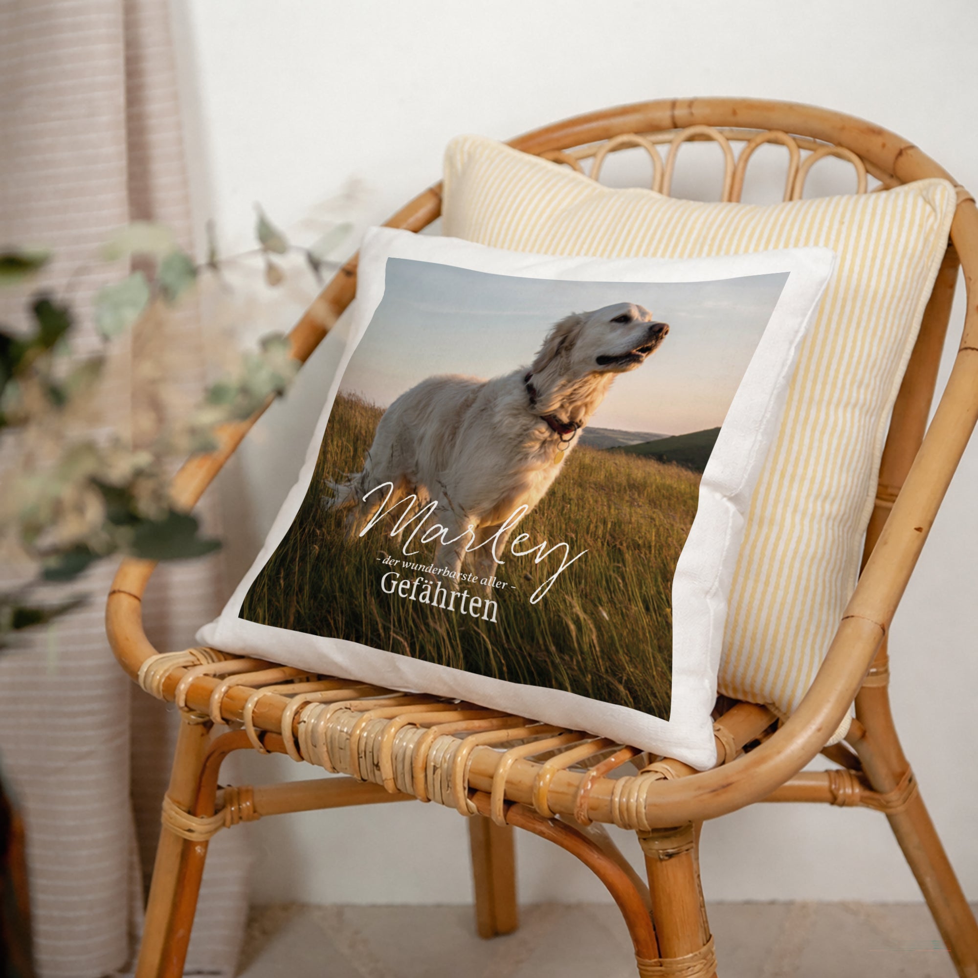 Kissen Objekte Natürliche Beige Pet love foto N° 2