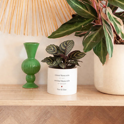 Blumentopf Objekte 48 cl Mama zweimal! foto N° 4