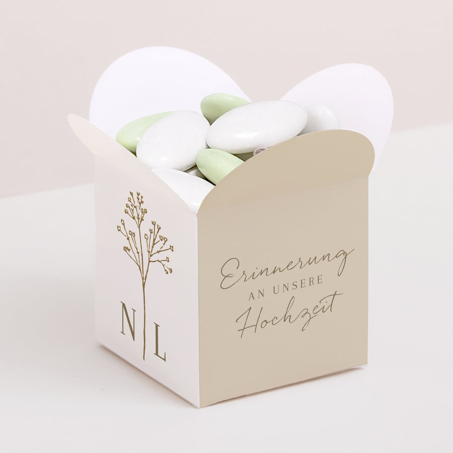Geschenkbox Hochzeit Schmetterlingsöffnung Elegante Gipskraut foto