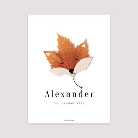 Poster Geburt Porträt Red Fox