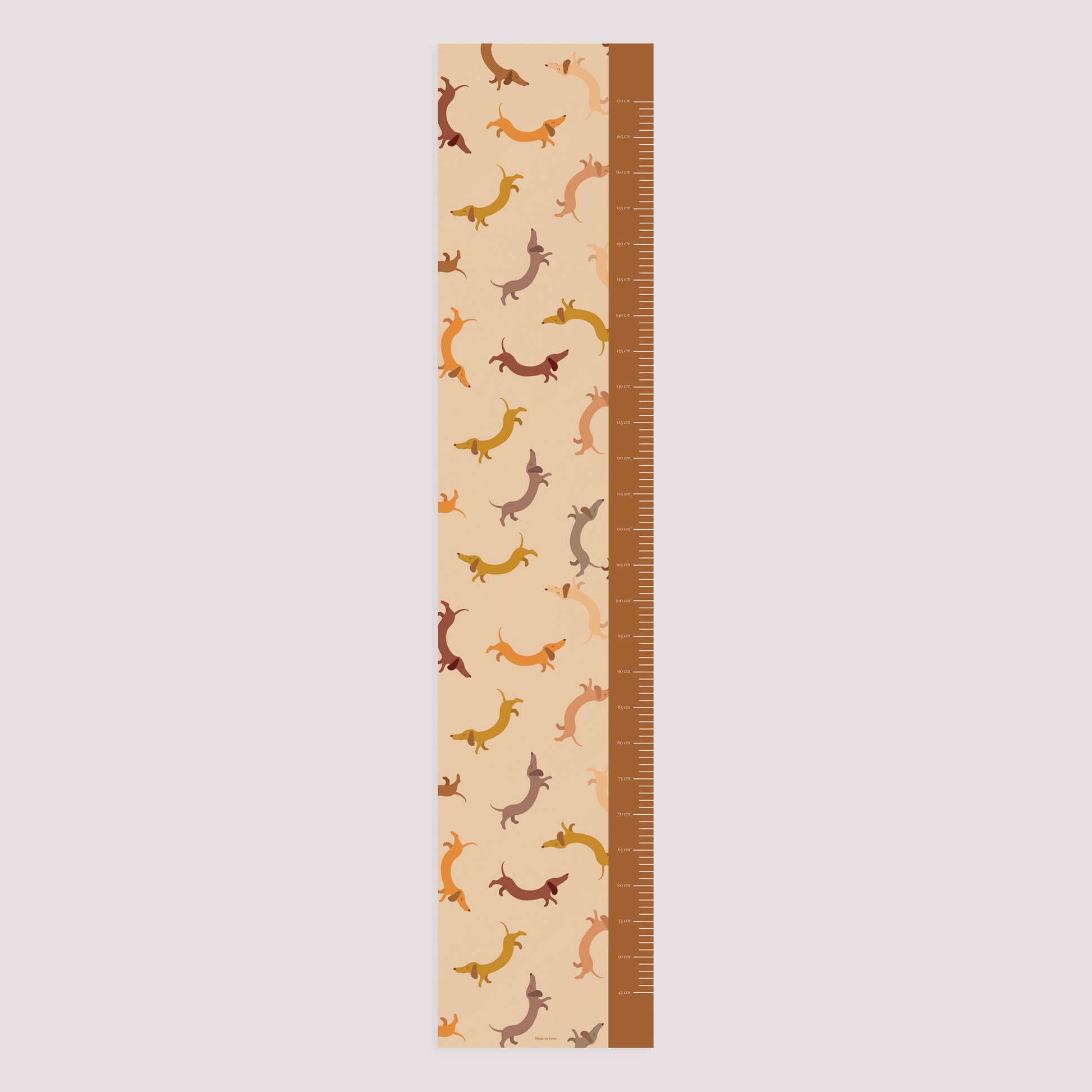 Kindermesslatte Geburt Papier Hot Dog foto N° 5