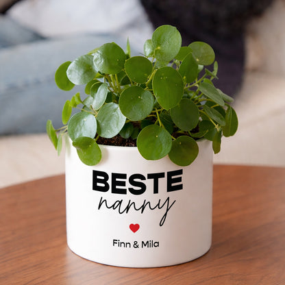 Blumentopf 48 cl Beste Nanny foto N° 2