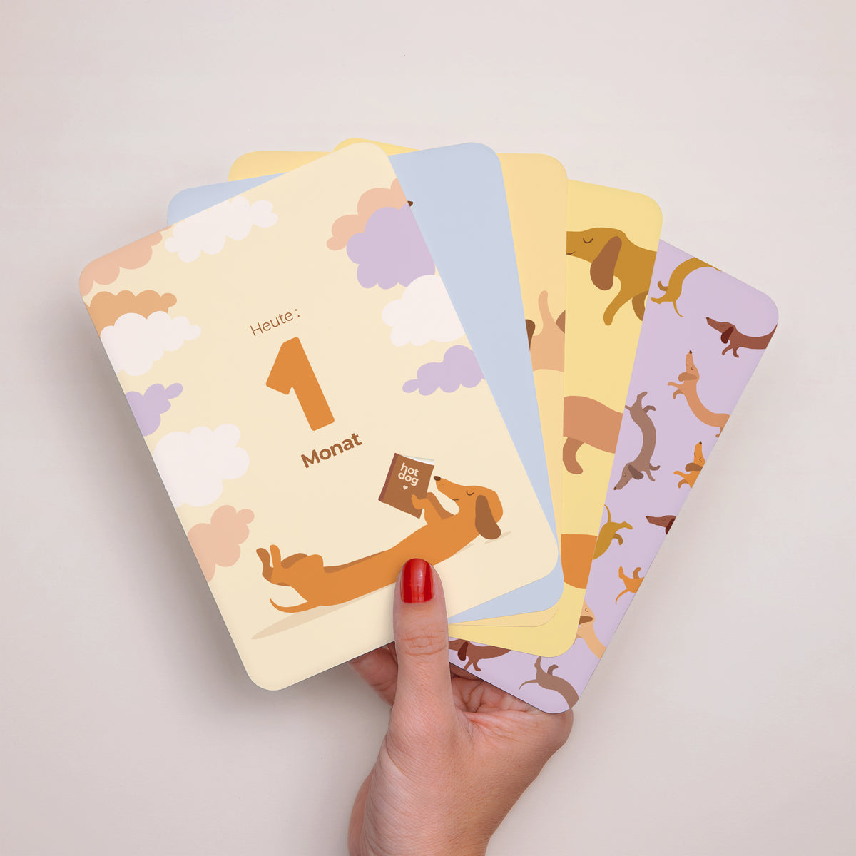 Meilenstein Karten Geburt 12er-Pack Hot-Dog-Farben foto
