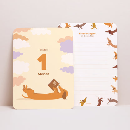 Meilenstein Karten Geburt 12er-Pack Hot-Dog-Farben foto N° 4