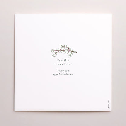 Weihnachtskarte Weihnachten Doppelflügelfenster Winterlaub foto N° 3