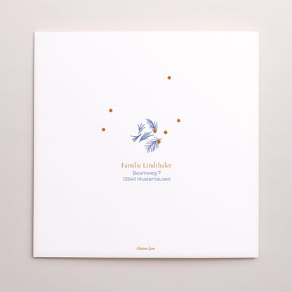 Weihnachtskarte Weihnachten Doppelflügelfenster Blauer Tannenzapfen foto N° 3