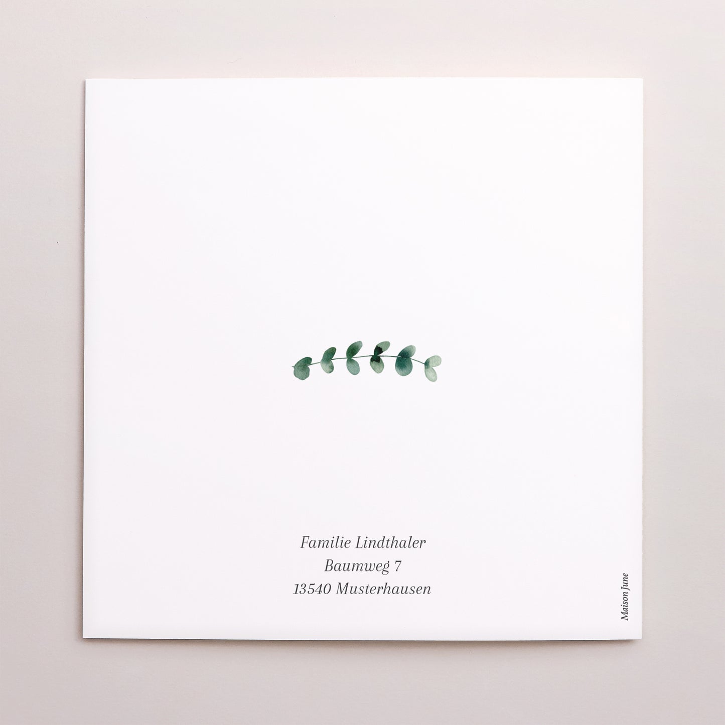 Taufeinladung Doppelflügelfenster Lichtblätter foto N° 3