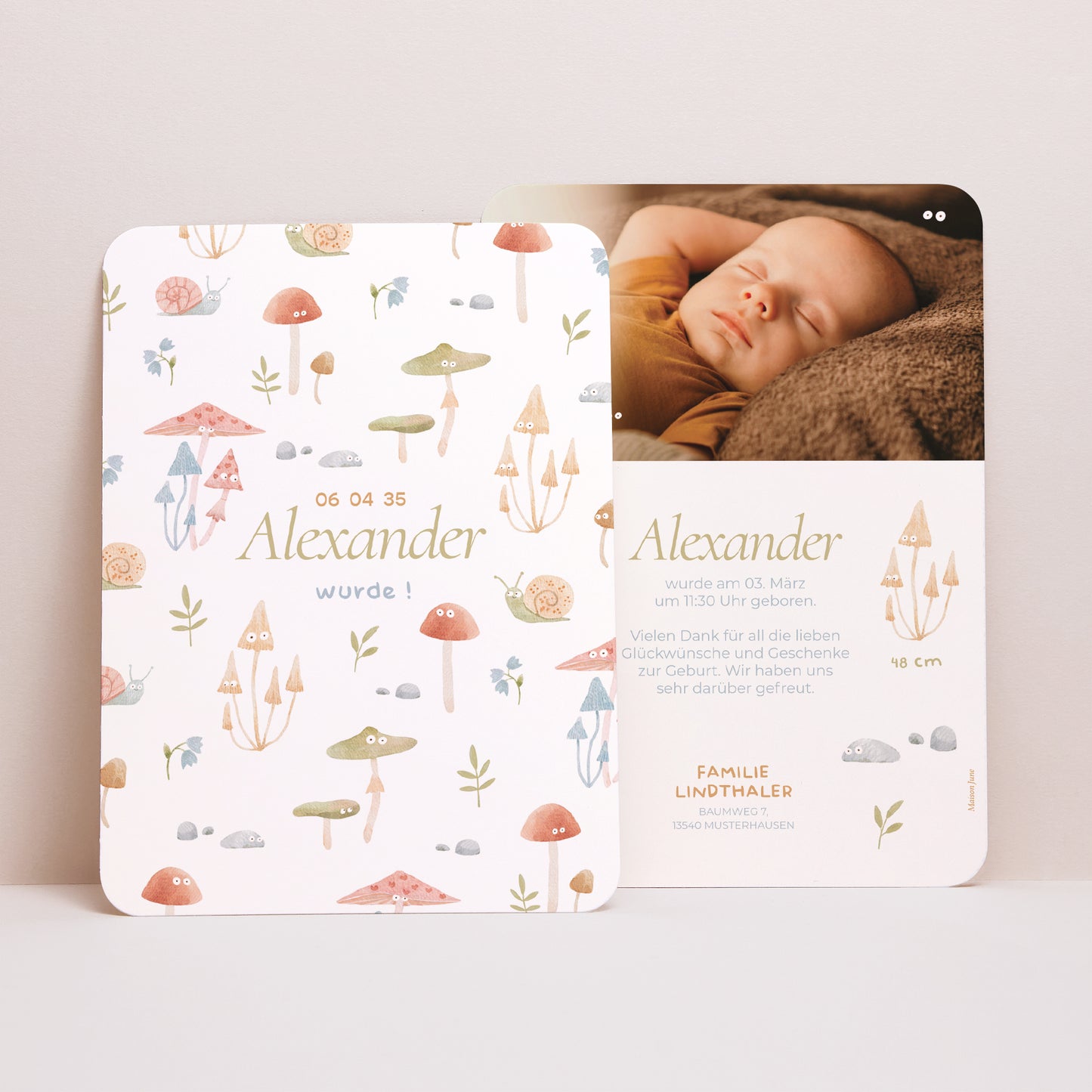 Geburtskarten Porträt, abgerundete Kanten Die kleine Welt des Waldes foto N° 1