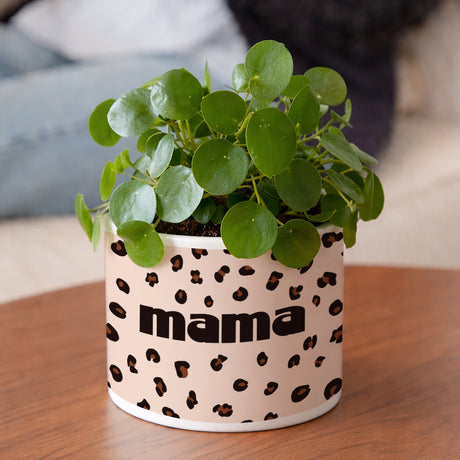 Blumentopf Objekte 48 cl Das Ikonische