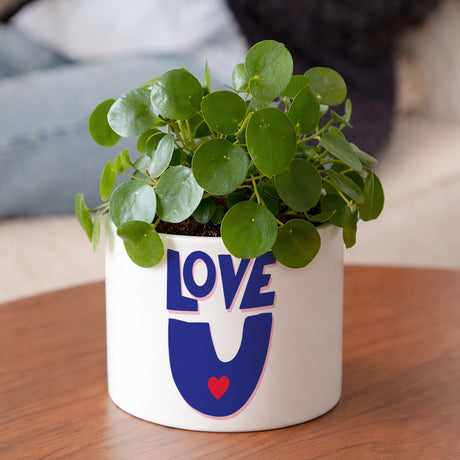 Blumentopf 48 cl Liebe, immer