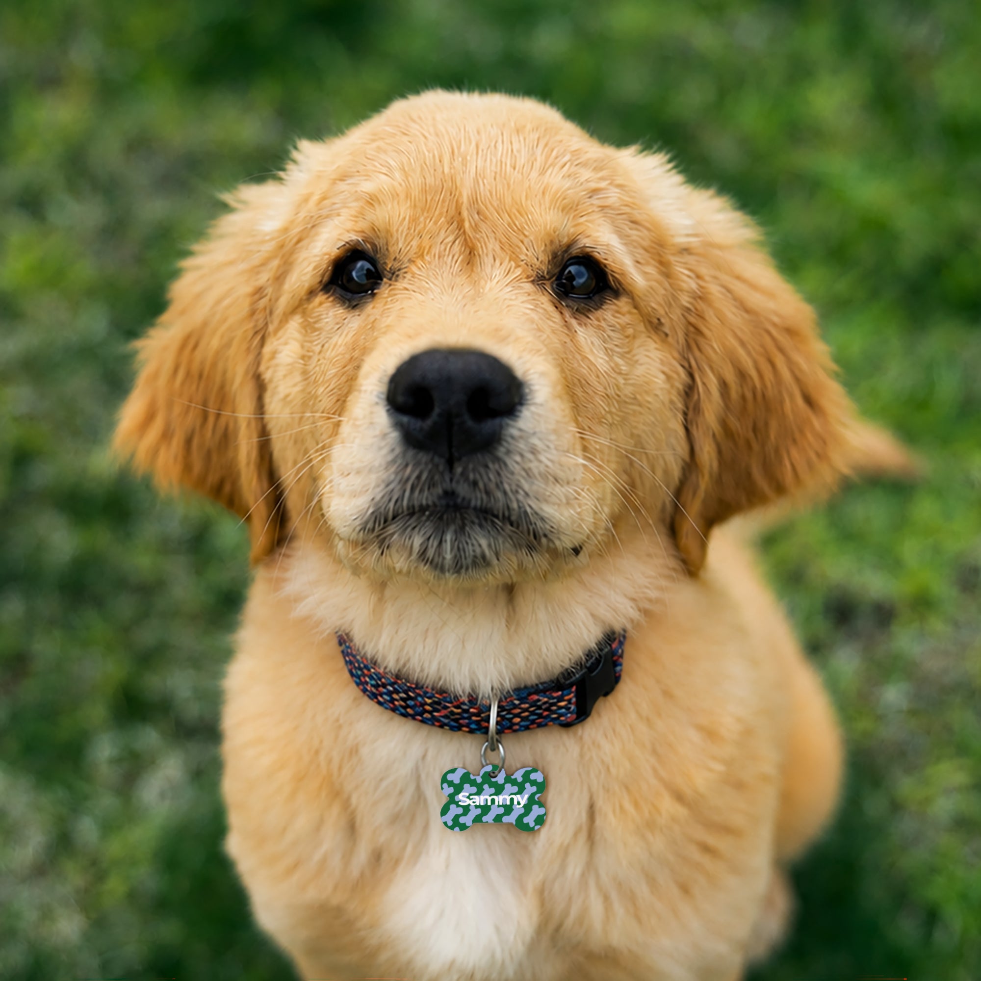 Medaillon Hund Knochen foto N° 3