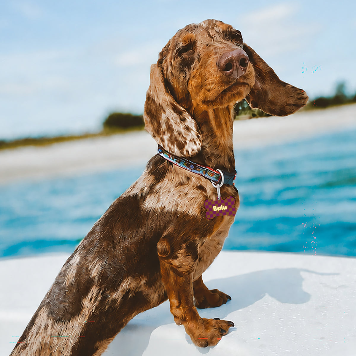 Medaillon Hund Knochen Mosaik foto N° 2