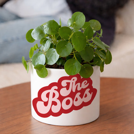 Blumentopf 48 cl Wer ist die Bossin?