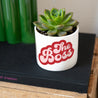 Blumentopf 48 cl Wer ist die Bossin? foto N° 3
