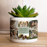 Blumentopf 48 cl Erinnerungsklick foto N° 1